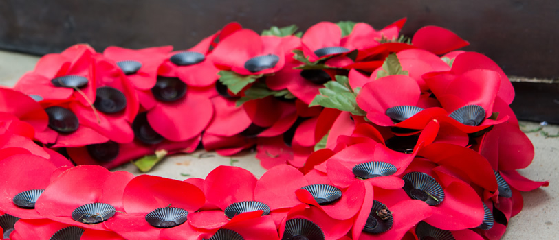 Poppies on a wreath