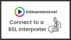 Connect to a BSL interpreter image