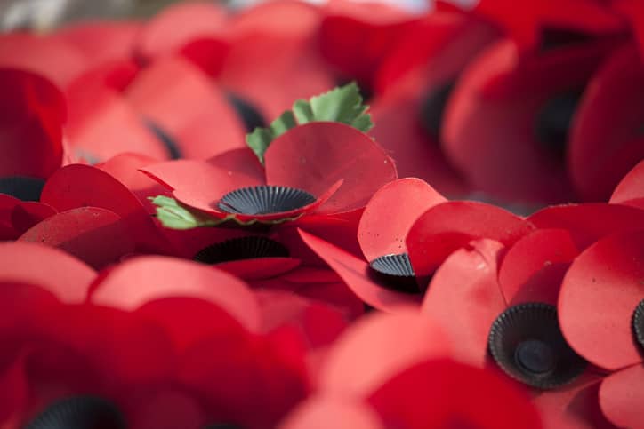 Remembrance Day poppies