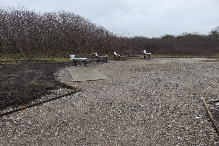 Pathway with benches on