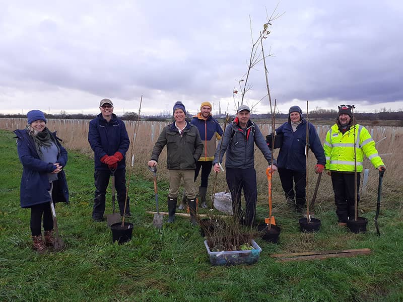 Rare trees planted by Council during National Tree Week | Cheshire West ...